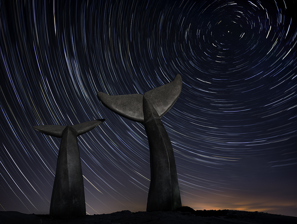 Realistic Comp In Class M By Ali McFadzen For Reverence MAY-2019.jpg